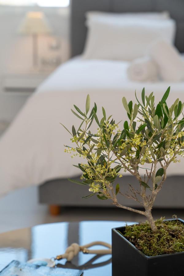 Olvar Suites 아테네 외부 사진